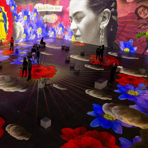 Frida Kahlo Tentoonstelling in Brussel - Een meeslepende biografi